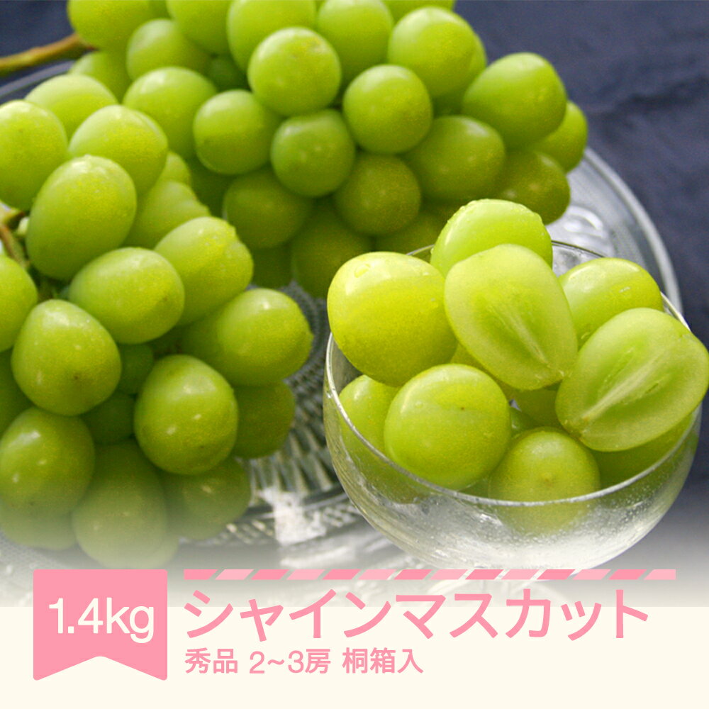 【ふるさと納税】先行予約 シャインマスカット 秀品 桐箱入り 1.4kg 令和7年産 2025年産 果物 送料無料 ※沖縄・離島への配送不可 mm-busmk3
