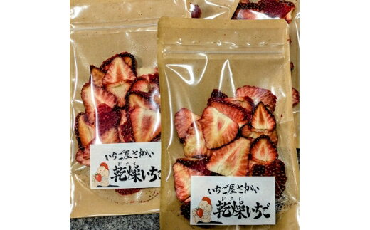 【ふるさと納税】 いちご 乾燥いちご 20g 2袋 計40g [いちご屋さかい 愛知県 岡崎市 ok23bzx160000] 小分け フリーズドライ 乾燥 フルーツ 果物 くだもの ドライいちご イチゴ 苺