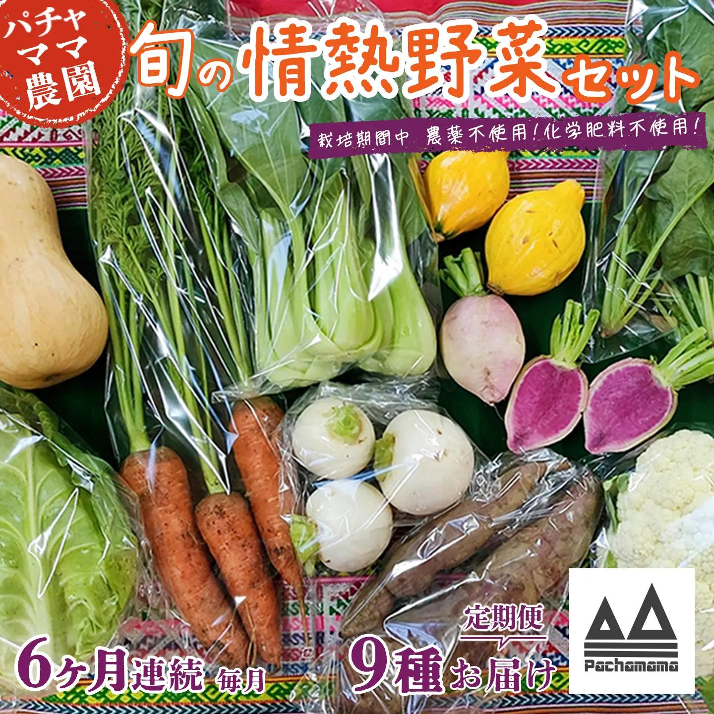 野菜 無農薬 農園自慢の情熱野菜セット 9種 【 6ヶ月 連続 お届け 】 