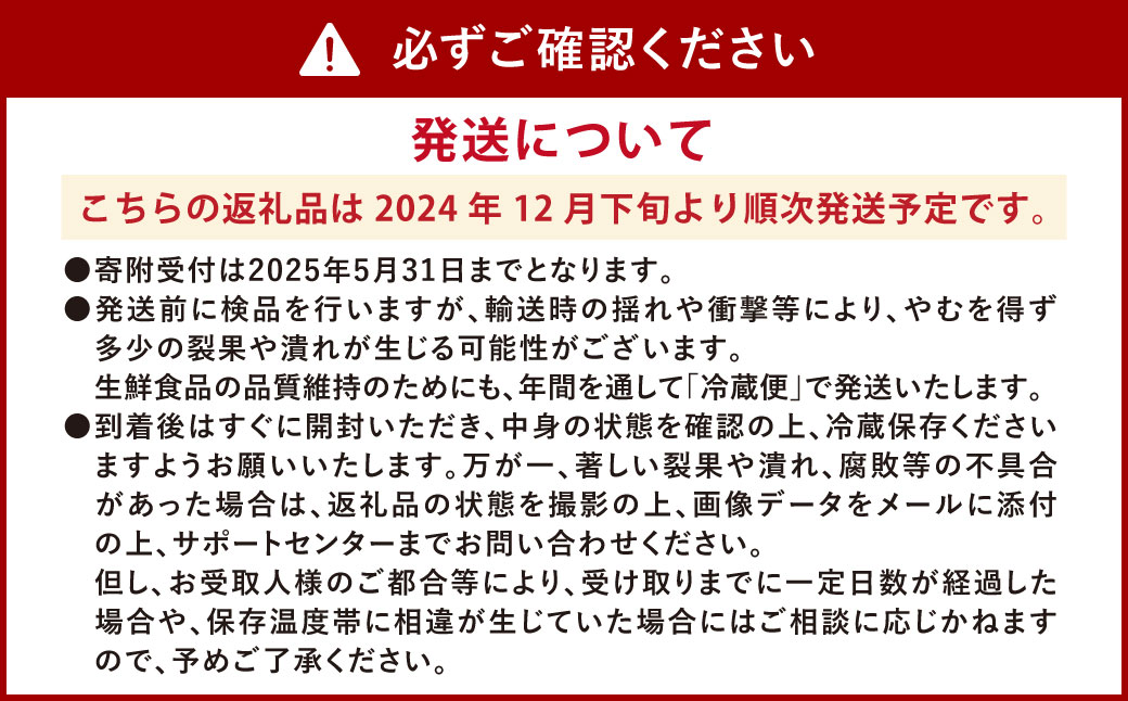 ソムリエ ミニトマト プラチナ 3kg とまと トマト 野菜 やさい 熊本県産 【2024年12月下旬発送開始】