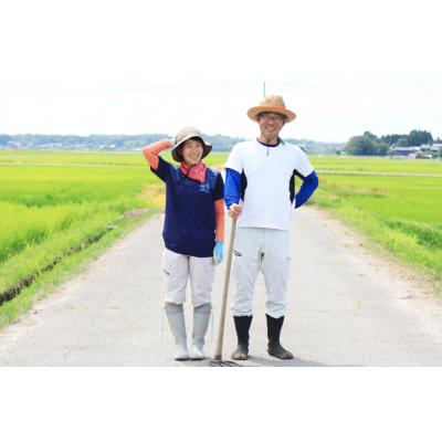 ふるさと納税 宝達志水町 米 令和7年 ゆめみづほ 白米 5kg [みどりの波 石川県 宝達志水町 38601254] |  | 01