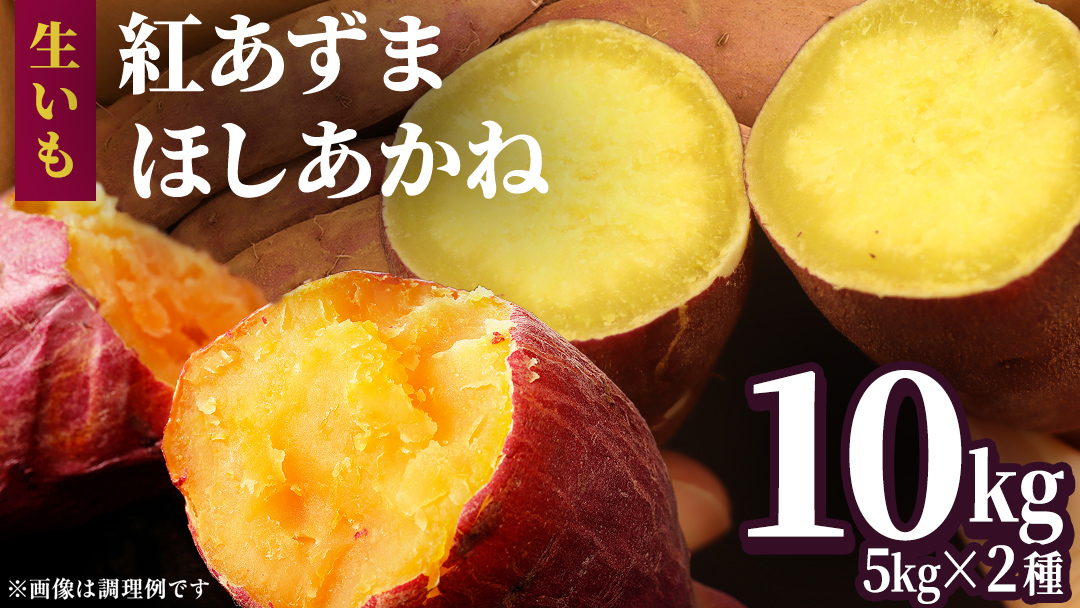 さつまいも 【 紅あずま ・ ほしあかね 】 5kg ( 箱込 )の 2箱セット サツマイモ さつま芋 芋 いも 野菜 焼き芋 スイーツ おやつ 国産