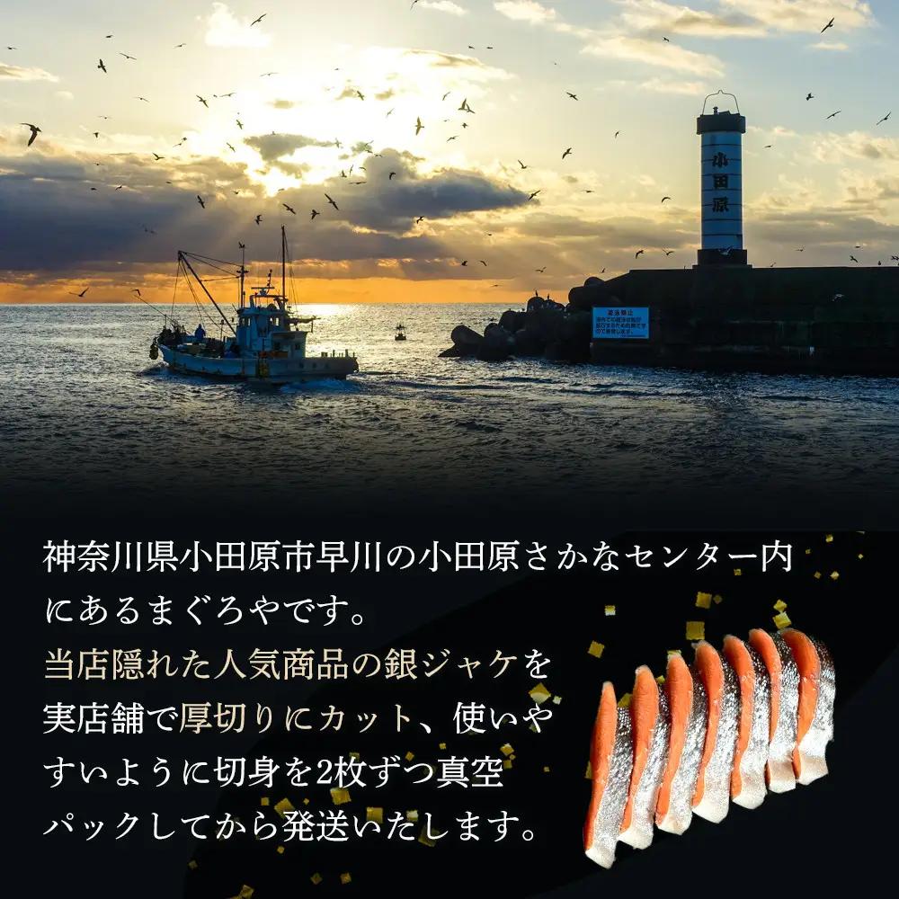 【甘口】【毎月3ヶ月 定期便】厚切り銀鮭 半身1枚 約10枚切【鮭 塩鮭 サケ 焼き魚 魚 おつまみ 惣菜 海鮮 珍味 お取り寄せ 御中元 お中元 お歳暮 父の日 母の日 贈り物 日本酒 焼酎 神奈川