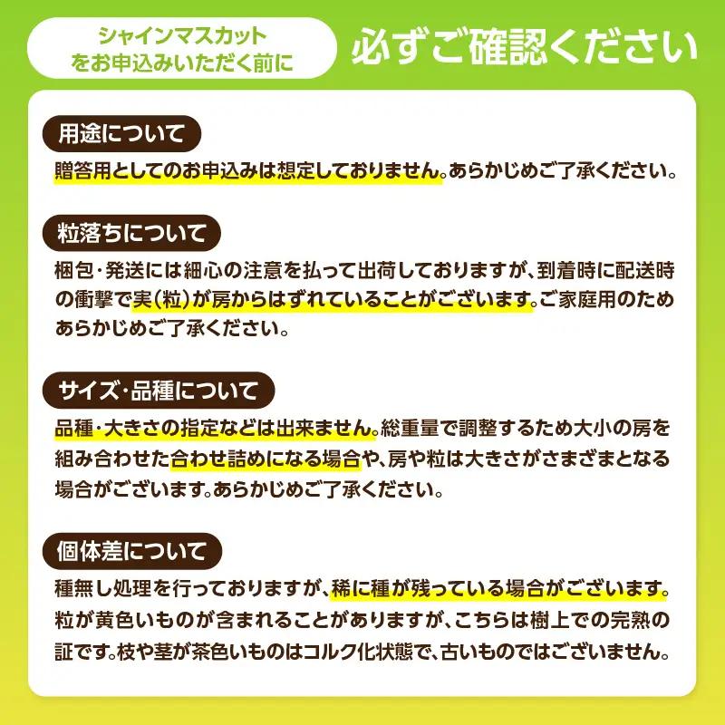 福岡・八女満喫定期便 プレミアム全12回 A ＜配送不可：北海道・沖縄・離島＞ フルーツ 定期便 福岡県 八女市 072-T050
