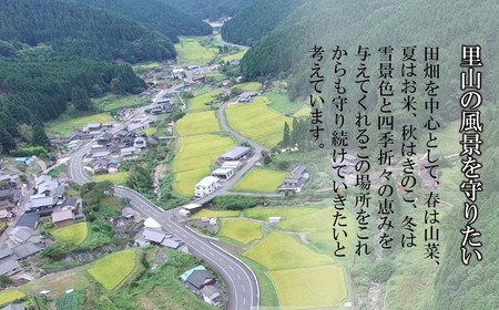【3回定期便】白米 10kg 令和6年産 コシヒカリ 岡山 「おおがや米」生産組合 G-ag-BDZA