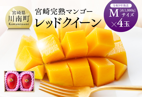 【令和7年発送】宮崎県産完熟マンゴー 「レッドクイーン」M×4玉 【 果物 フルーツ マンゴー 宮崎県産 完熟マンゴー みやざきマンゴー 先行予約 数量限定 期間限定 】[D03213]
