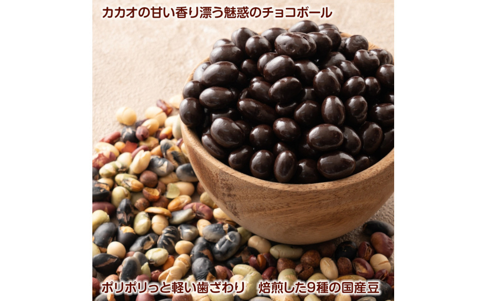 9種の煎豆ミックスチョコボール 1kg(500g×2袋)