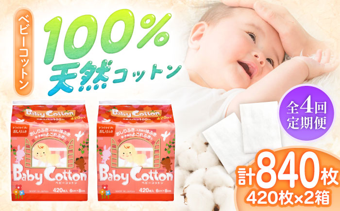【4回定期便】ベビーコットン 420枚×2個／コットン ベビー 育児 子育て 愛媛県 内子町【三和製作所】 [BKCL003]