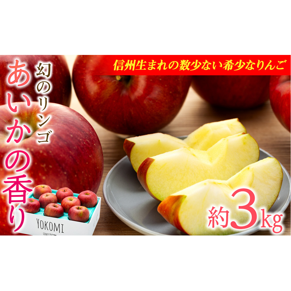 りんご あいかの香り 約3kg セット 2026年 令和8年度発送分 リンゴ 林檎 長野 フルーツ 果物 信州産 長野県産 特産 産地直送 おすすめ