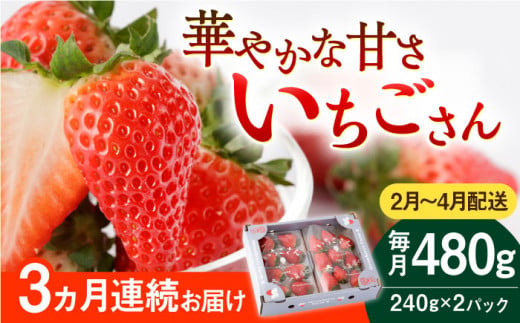 【先行予約】【3回定期便】いちごさん 240g×2パック [2・3・4月配送]【StrawberryFarm-K】 [IBJ009]