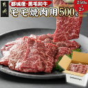 【ふるさと納税】黒毛和牛モモ焼肉用500g - 都城産 モモ肉 250g×2P 牛肉 焼き肉 小分け 真空パック 冷凍配送 赤身肉 脂身が少ない赤身 やき肉 牛モモ おうち焼肉 国産牛 国産黒毛和牛 送料無料 14-3302 【宮崎県都城市は2年連続ふるさと納税日本一！】