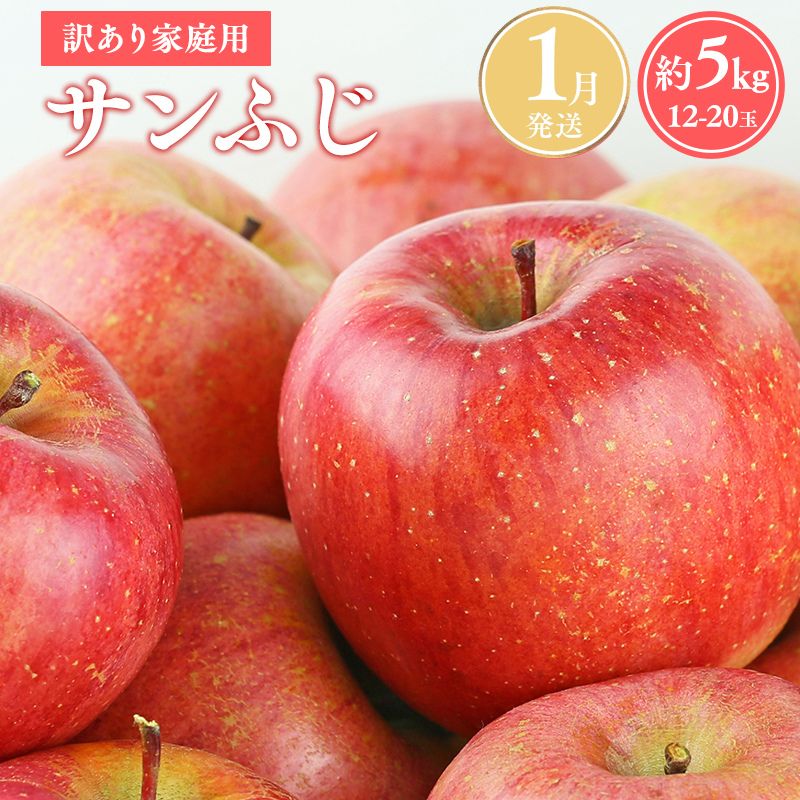 ≪令和8年産先行受付≫令和9年1月発送! 訳あり 家庭用サンふじ約5kg【青森県平川市産・青森りんご】【青森県 平川市 山内ファーム】家庭用 平川市産 青森りんご りんご リンゴ 林檎 ふじ 訳あり 家庭用 お取り寄せ 先行予約 果物 くだもの フルーツ