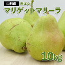 【ふるさと納税】山形市産 西洋なし(マリゲットマリーラ) 秀 10kg(5kg×2) 14玉〜30玉 【令和7年産先行予約】FS24-585 くだもの 果物 フルーツ 山形 山形県 山形市 お取り寄せ 2025年産