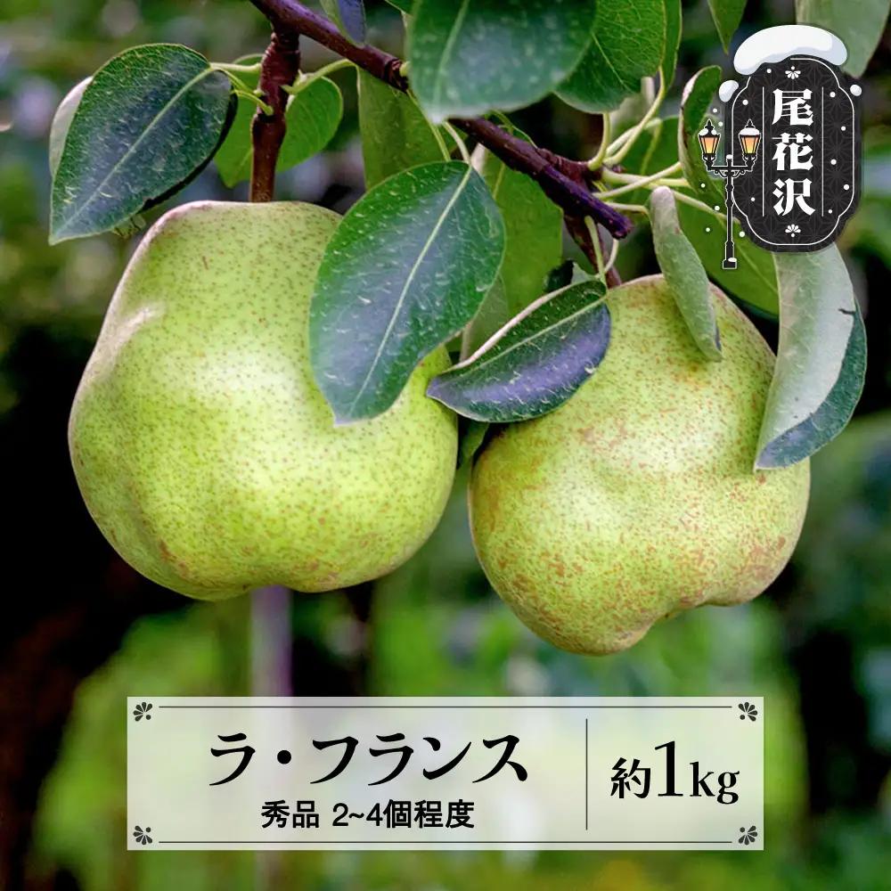 先行予約 ラ・フランス 秀品 約1kg(2~4個程度) 11月上旬~下旬頃発送  令和8年産 2026年産 sb-lasyx1-b