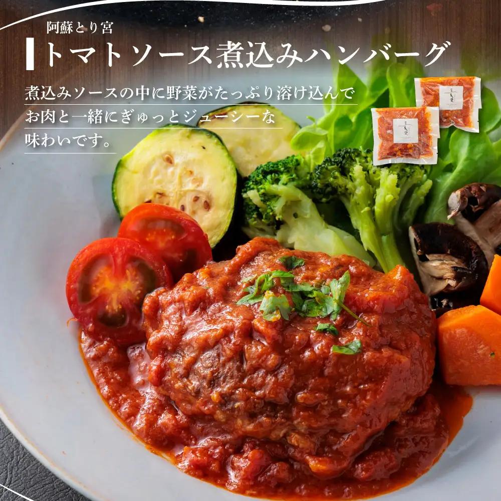 種類いろいろ！ハンバーグ セットver.2