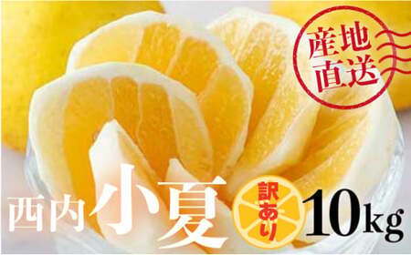 ＜先行予約＞【訳アリ】西内小夏 10kg　N52 [NU-03] 【西内農園】
