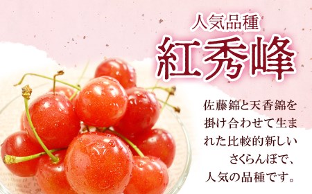 【令和8年産先行予約】 さくらんぼ 紅秀峰 (L又は2Lサイズ) 1kg バラ詰め 山形県鶴岡市産　株式会社 元青果