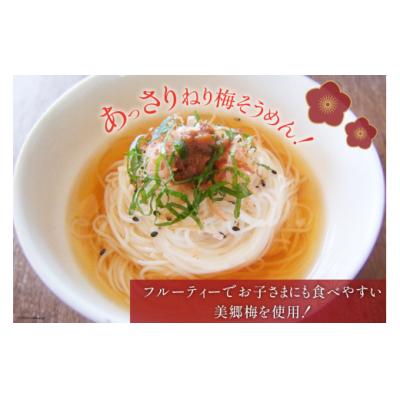 ふるさと納税 美郷町 南高梅 梅おかか 100g×3袋 農林産物直売所 美郷ノ蔵 宮崎県 美郷町 [31ab0103] |  | 02