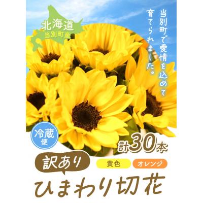 ふるさと納税 当別町 【訳あり】ひまわり切花30本入り(黄色、オレンジ 計30本) |  | 01