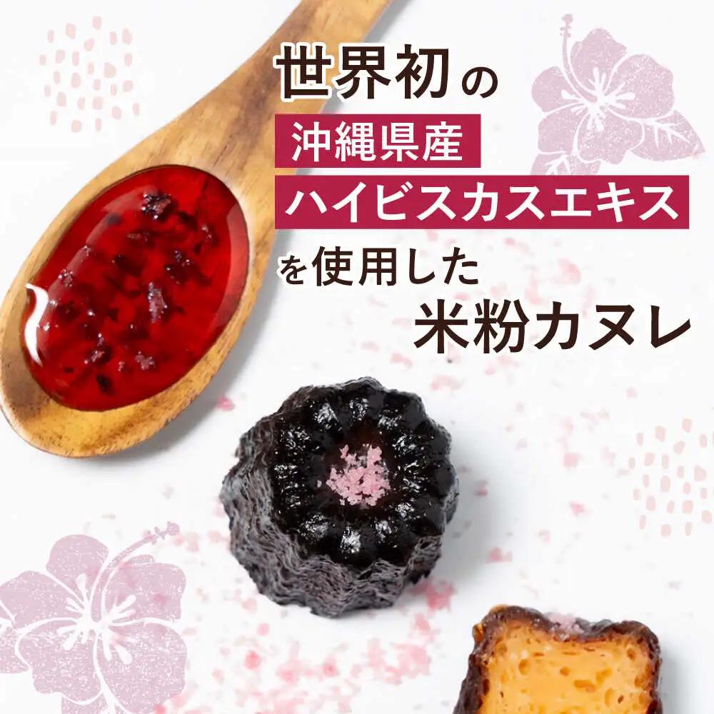 琉球PANAR 米粉カヌレ 5個 スイーツ セット ギフト お菓子 グルテンフリー 沖縄市 / GLUCKS 10000円 BCDY001