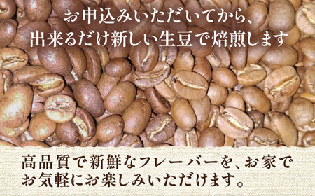 【全6回定期便】【ギフト用】 ペルー コーヒー 中煎り 250g×2《豊前市》【稲垣珈琲】珈琲 コーヒー 豆 粉 有機 贈り物[VAS213] コーヒー コーヒー飲料 コーヒータイム コーヒー カフェ