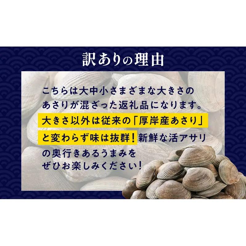 【3カ月 定期便 】訳あり 北海道 厚岸産 砂出し済み 活あさり 1kg×2 (合計2kg) 【厚岸海産】[ アサリ 魚貝 海鮮 大粒 美味しい 栄養 旨み 砂出し 水洗い 冷蔵 便利 ]