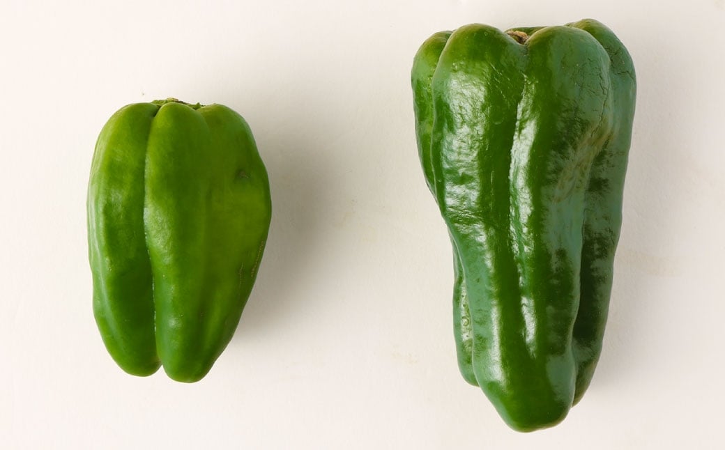 AY-2 丸ごと食べられる！波崎ジャンボピーマン　4kg（約70個入り）