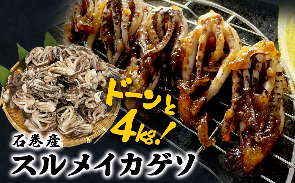 訳あり 石巻産スルメイカゲソ 4kg 宮城県産 冷凍 国産 下足 イカ イカゲソ 唐揚げ いかげそ おつまみ 魚介類 焼イカ バーベキュー BBQ わけあり 不揃い 烏賊 炒め物 フライ ゲソ天 唐揚げ  イカゲソ4kg 宮城県 石巻市