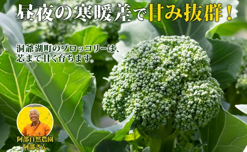 北海道 洞爺湖町産 ブロッコリー 計600g 60g 10袋 野菜 冷凍野菜 小分け 時短 簡単 調理 阿部自然農園 冷凍 北海道産 カット済み 一人暮らし 送料無料 洞爺湖町 