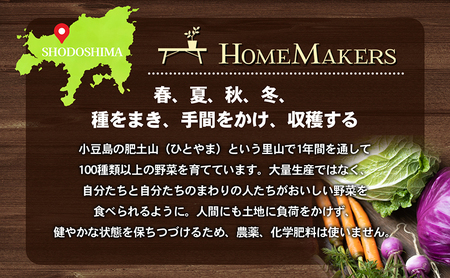 小豆島 野菜セット 定期便 年4回 瀬戸内小豆島 旬野菜 セット 詰め合わせ 農家直送 野菜 旬の野菜 季節の野菜 食品 4回 お楽しみ 香川 香川県 土庄町