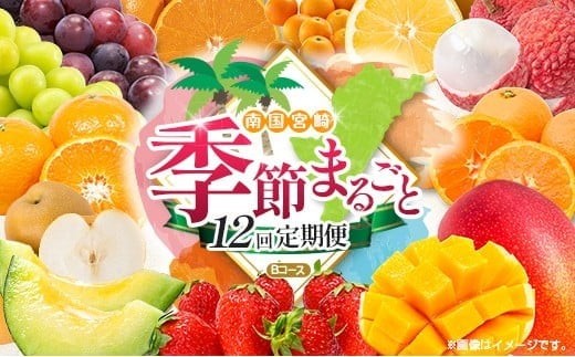 
                  【12回定期便】旬 人気 フルーツ 南国宮崎産 マンゴー ライチ 金柑たまたま シャインマスカット ピオーネ いちご みかん 日向夏 メロン 梨 柑橘 きんかん ぶどう 果物 詰め合わせ 宮崎県 九州 1年 毎月お届け＜Bコース M200＞
                
