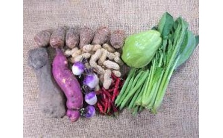 旬の野菜・定期便（3か月）【配達不可：北海道・沖縄・離島】