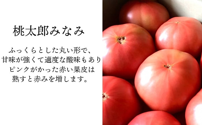 「りんか409」または「桃太郎みなみ」のどちらかをお届けします