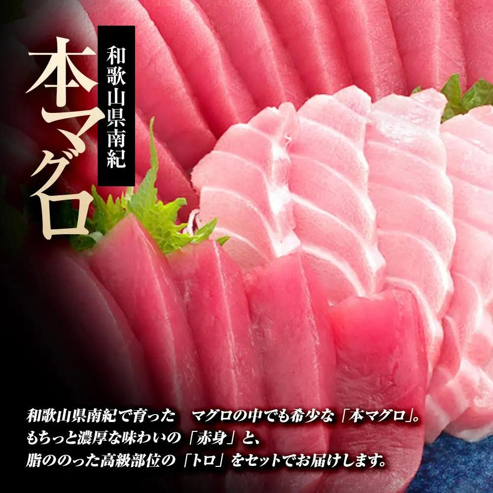本マグロ（養殖）トロ＆赤身セット　500g［KS12］