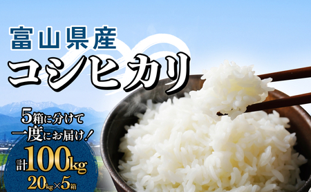 富山県産 コシヒカリ 100kg（20kg×5箱） 精米  