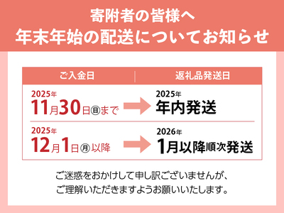食べ比べハムセット3種入り 詰合せ セット バーベキュー キャンプ パーティー 手作り フランク おつまみ オールポーク 豚肉100％ 天然腸 山梨県 白州 北杜市