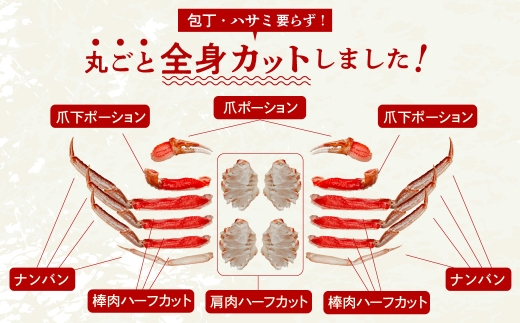 【日付指定配送（12月1日～1月3日）】カット済み生ずわいがに Lサイズ（内容量700g／総重量1kg）選べる配送月 発送月 かに カット済み 食べ応え 抜群 脚 丸ごとカット 殻処理済み 手間いらず
