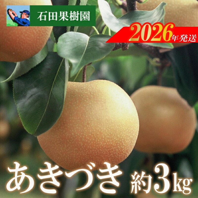 【ふるさと納税】No.2740梨　あきづき　3kg【2026年発送　先行予約】