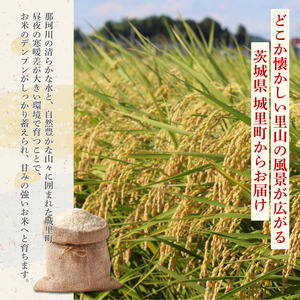 【12カ月定期便】コシヒカリ 5kg（茨城県共通返礼品・城里町産） / 米 こめ コメ お米 おこめ コシヒカリ こしひかり 白米 精米 ごはん ご飯 令和7年産 5kg 定期便 茨城県 城里町 利根