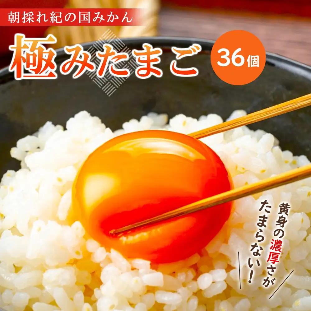 たまご  紀の国みかん極みたまご36個 　卵  玉子   卵かけご飯