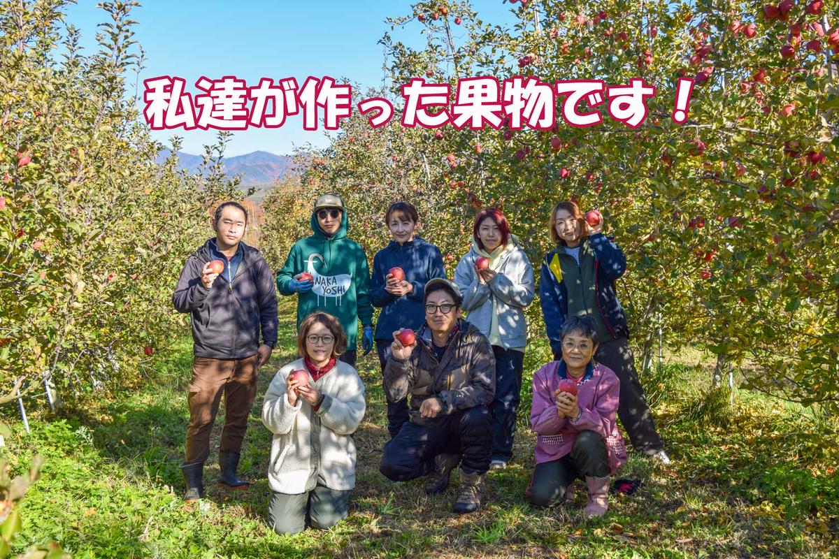 シャキシャキ葉とらず ふじりんご 約3kg (5～12玉) サンふじ りんご リンゴ 果物 フルーツ 旬の果物 信州 長野 上田【特別栽培農産物】【長野県産】