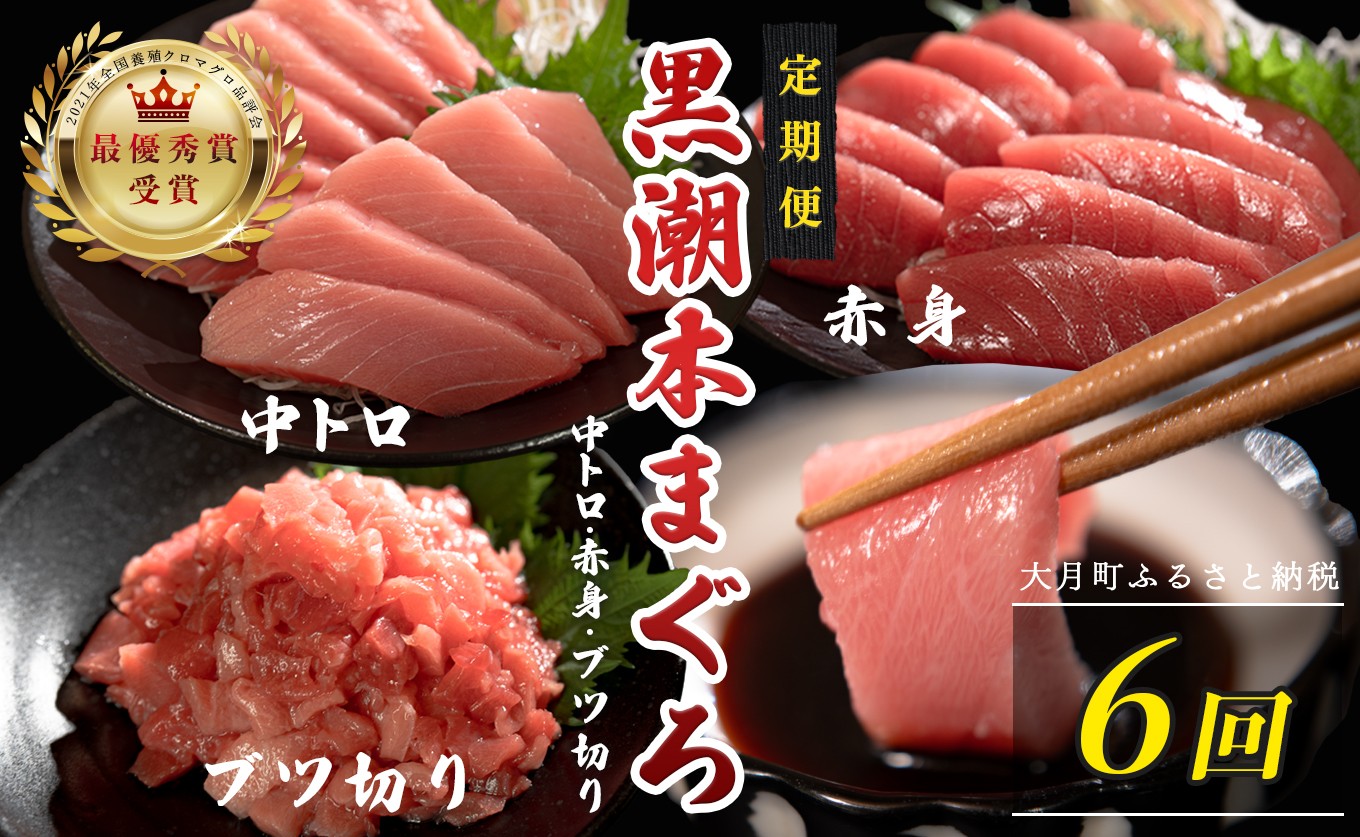 
                  訳あり 不定貫 定期便 6回 国産 養殖本マグロ 中トロ・赤身・ブツ切り 3種 毎回計600g×6回 黒潮本まぐろ 全国養殖クロマグロ品評会 最優秀賞受賞 6ヶ月 6か月 半年 柵 刺身用 本マグロ クロマグロ 本鮪 まぐろ 鮪 お刺身 さしみ 中トロ トロ 赤身 ブツ切り ぶつ切り ネギトロ たたき ユッケ 海鮮丼 漬け丼 手巻き寿司 鉄火丼 まぐろ丼 小分け 個包装 真空パック 12万円
                