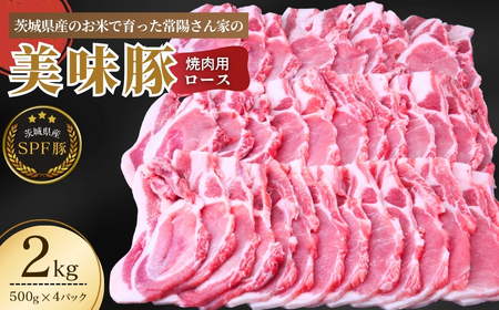 豚ロース SPF豚  焼肉用 2kg | 豚ロース 豚ロース 豚ロース 豚ロース 豚ロース 豚ロース