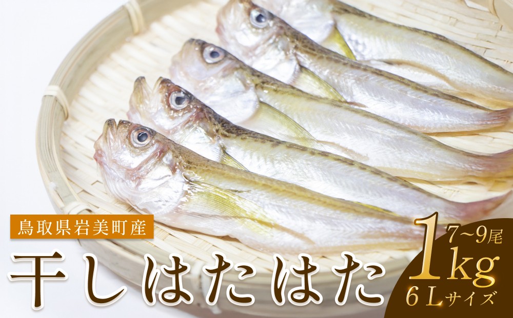 
            干しはたはた  1Kg（6L）８尾前後 数量限定【24026】鳥取 岩美 山陰 日本海 ハタ 干物
          