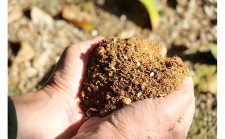 木なりはっさくみかんご家庭用 5kg箱入【WS9】