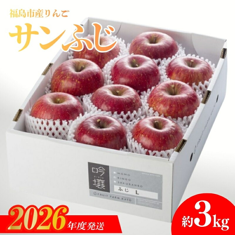【ふるさと納税】No.0673 りんご「サンふじ」 約3kg【2026年度発送】