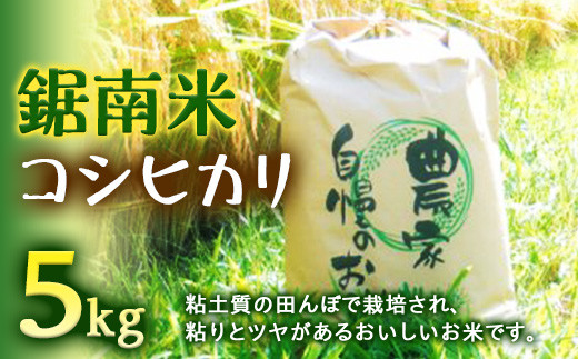 令和7年度産 新米 鋸南米 コシヒカリ 5kg 精米 F22X-103