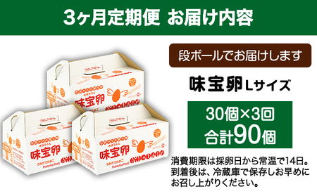 【定期便】計3回お届け 朝獲れ卵 味宝卵 (計90個) 30個×3回お届け 卵 Lサイズ 鶏卵 《お申込み月の翌月より出荷開始》 福岡 鞍手町 卵 Lサイズ 鶏卵 送料無料