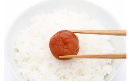 【紀州南高梅】ふるさとの梅干し うす塩梅×しそ漬セット 250g×2 / 和歌山 田辺 紀州 南高梅 お試し 試食 初めて 味見 特選 国産 おにぎり お弁当 二種 500g  免疫 塩分補給 【nm