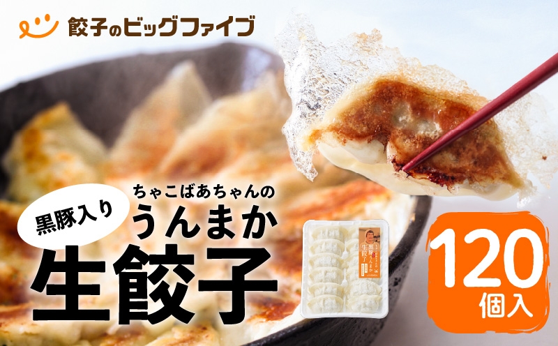 
                  ちゃこばあちゃんの黒豚入りうんまか生餃子 120個入り　K027-003
                